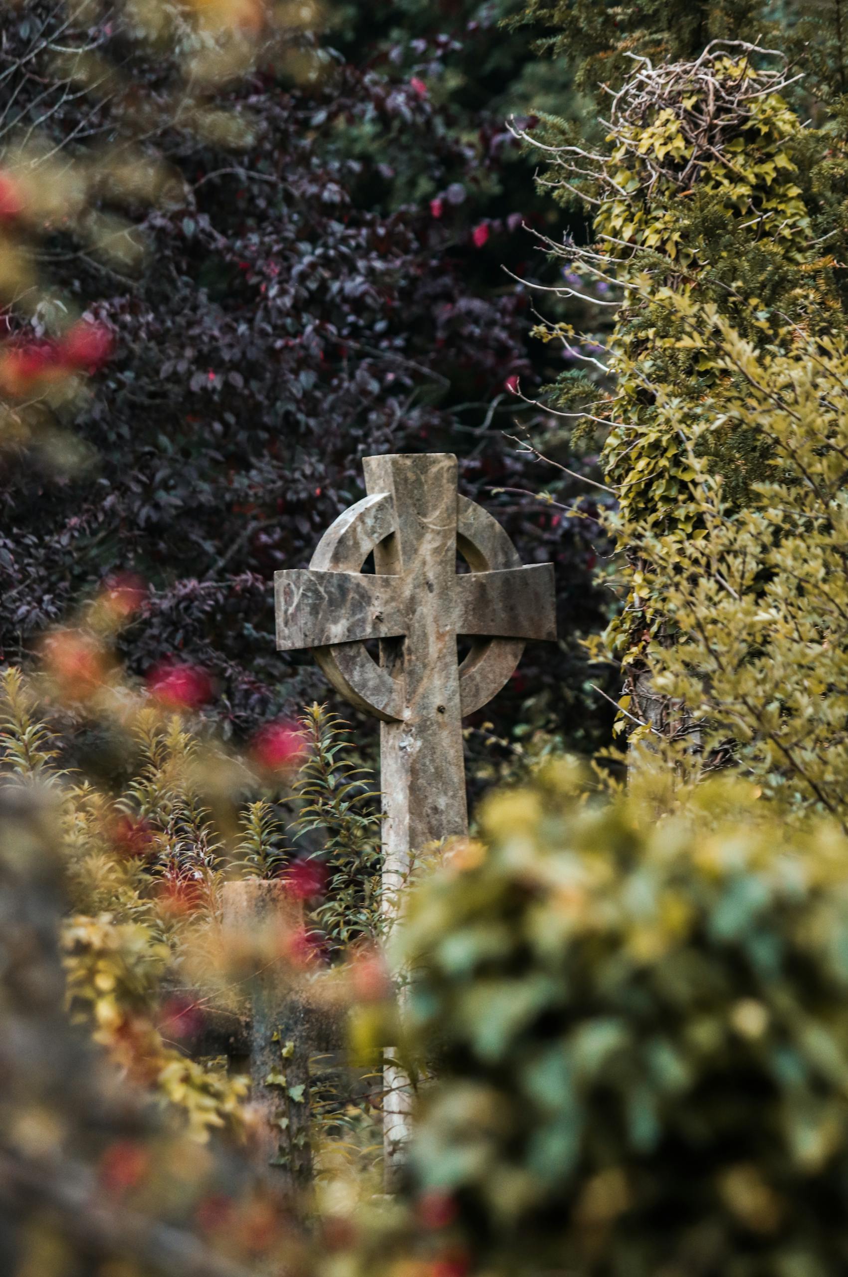 Celtic cross surrounded by vibrant foliage in a Bristol cemetery.