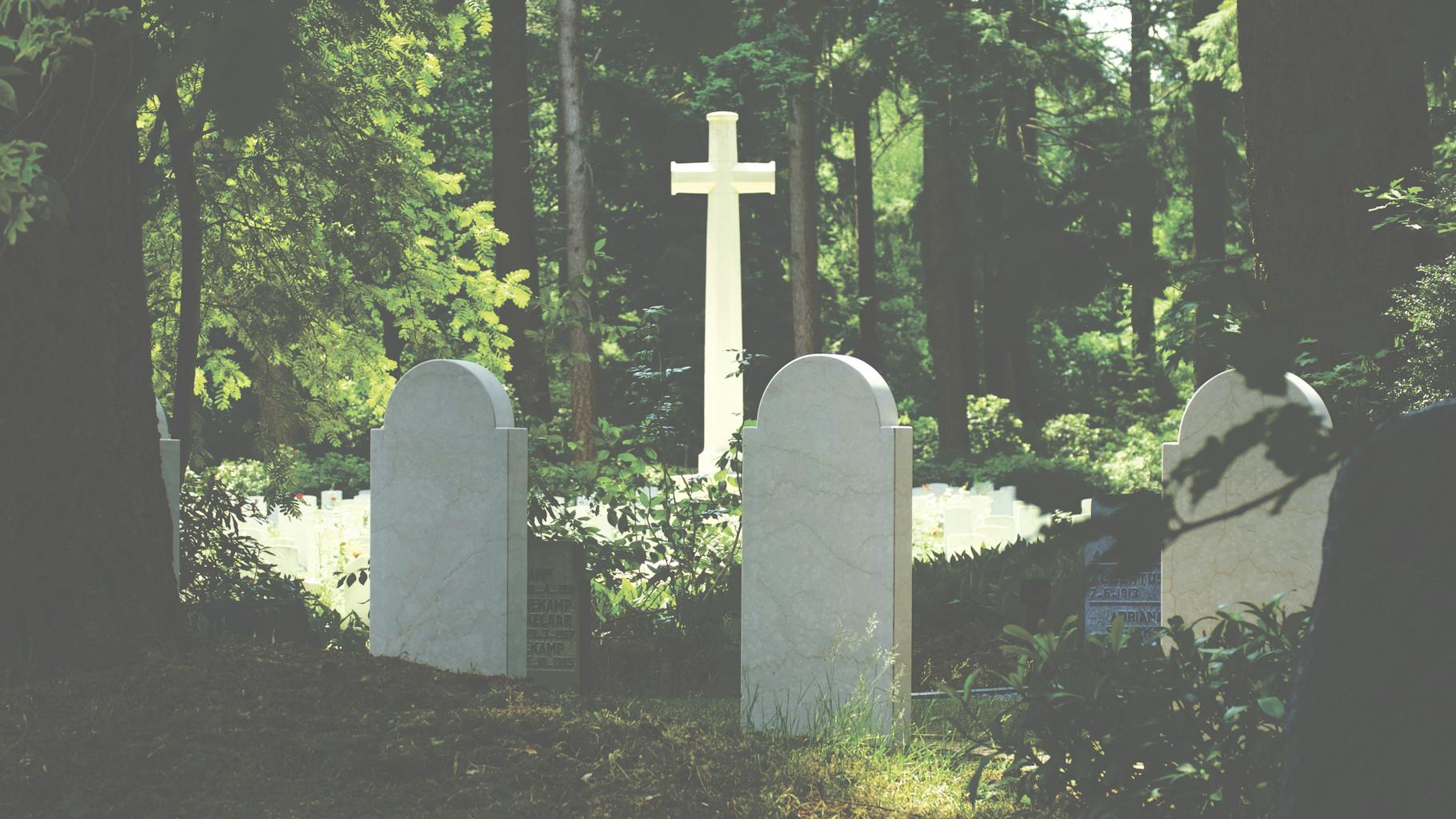Peaceful cemetery scene with gravestones and cross amidst lush trees, evoking a sense of tranquility and reflection.